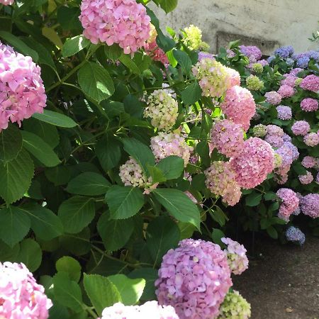 Domaine De Brousson Bed & Breakfast La Tour-sur-Orb Luaran gambar