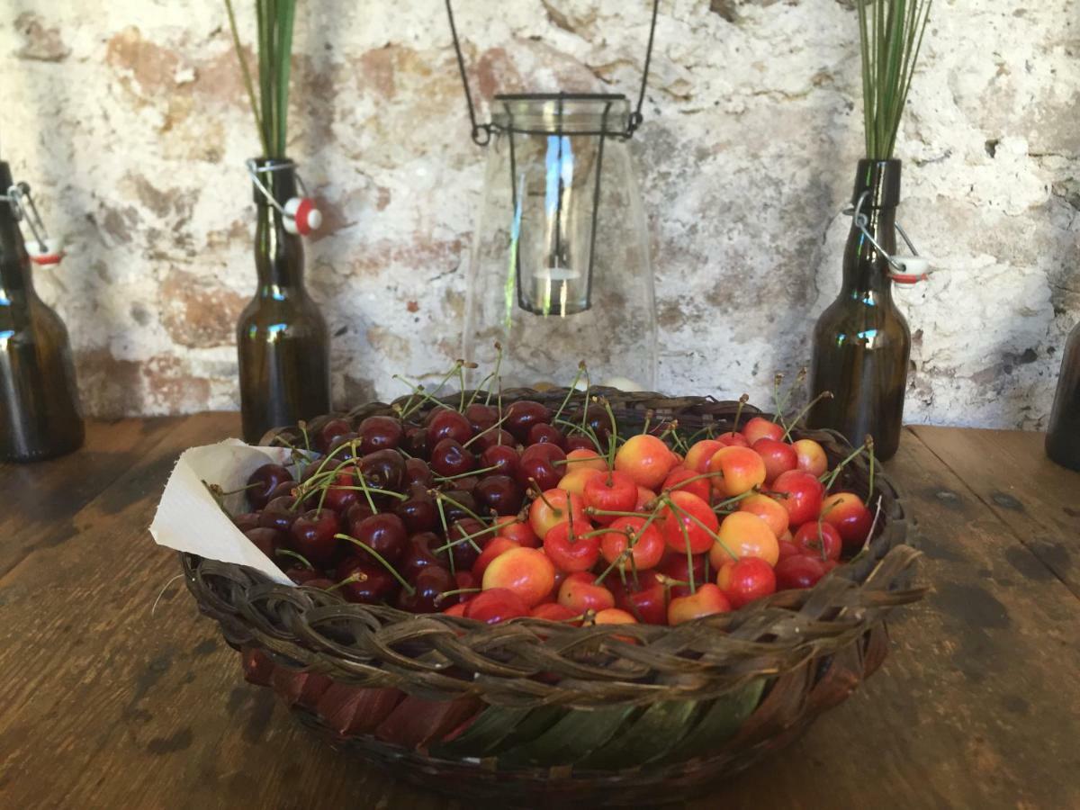 Domaine De Brousson Bed & Breakfast La Tour-sur-Orb Luaran gambar