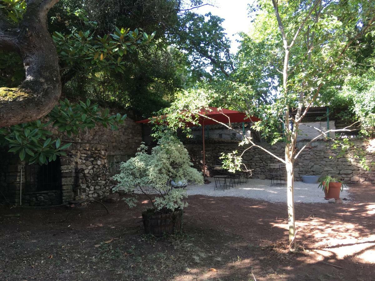 Domaine De Brousson Bed & Breakfast La Tour-sur-Orb Luaran gambar